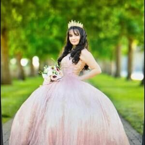 Barbara Lo  Pink & Gold Embroidered Quinceañera / Sweet 16 Ball Gown Size 6